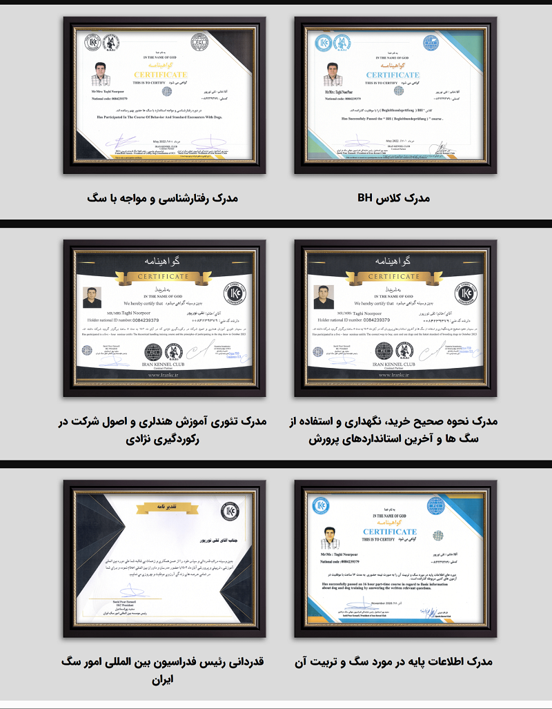 تقی نورپور مربی و رفتارشناس سگ