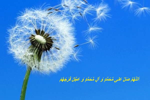 امانت دار خوبی باشید
