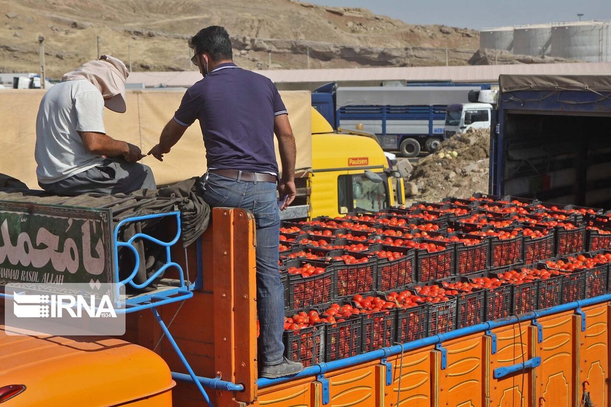 صادرات گوجه فرنگی از مرز پرویزخان ممنوع شد