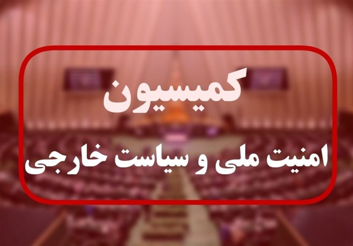 بررسی طرح ممنوعیت انتصاب مدیران‌ ۲ تابعیتی در کمیسیون امنیت ملی مجلس