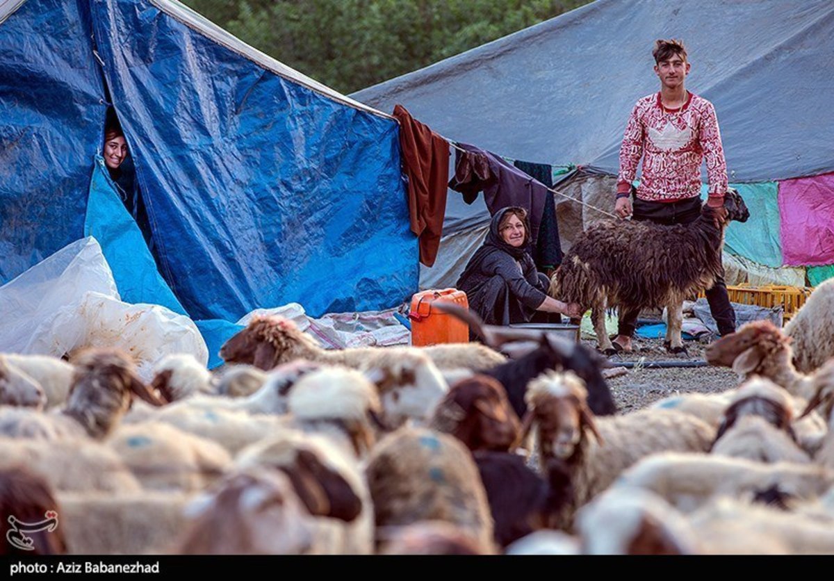 از قشلاق تا کوچ برای ییلاق عشایر لرستان