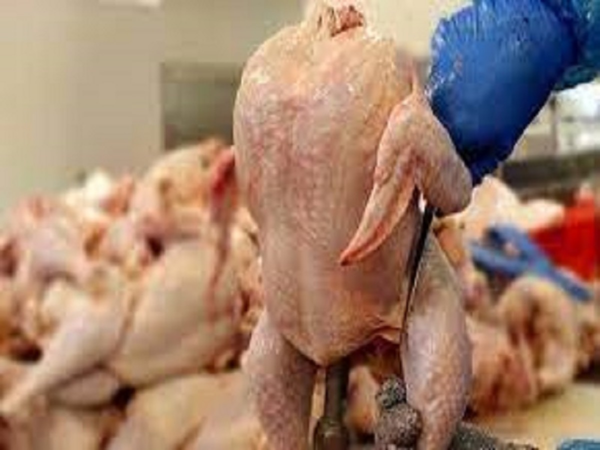 قیمت مرغ در مغازه‌ها از 73 هزار تومان تا 90 هزار تومان