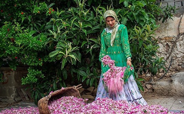 جشنواره گل و گلاب لایزنگان فارس