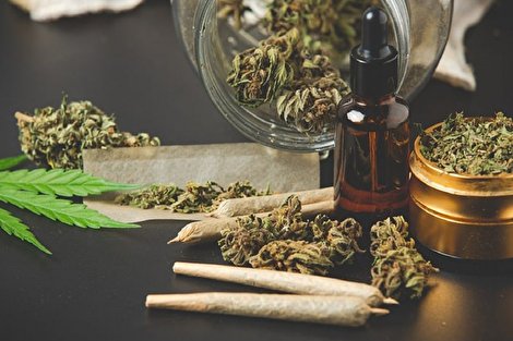 گُل از هر ۶ جوان گریبان یکی را میگیرد گُل از هر ۶ جوان گریبان یکی را میگیرد