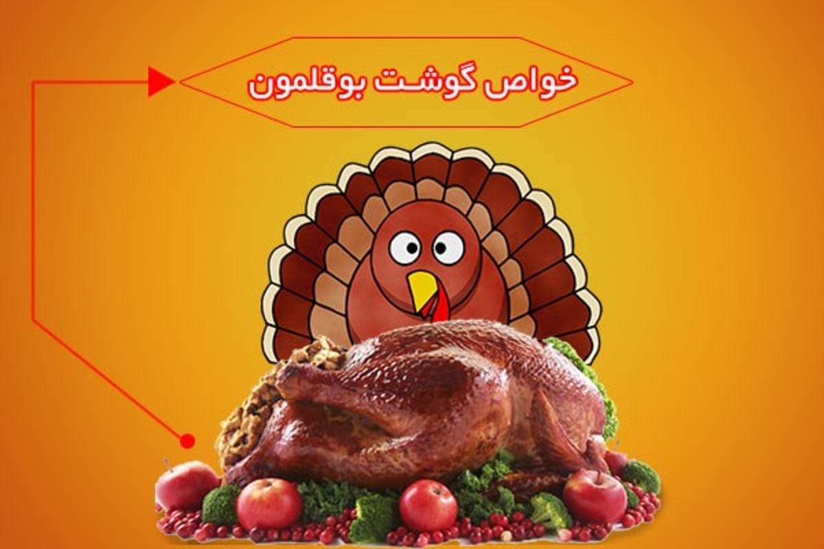 فوايد و خواص گوشت بوقلمون
