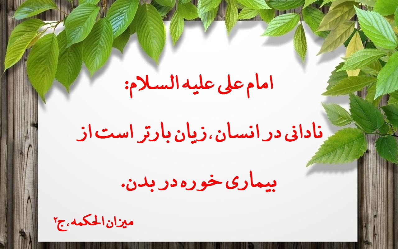 نادانی ریشه همه بدبختیهاست