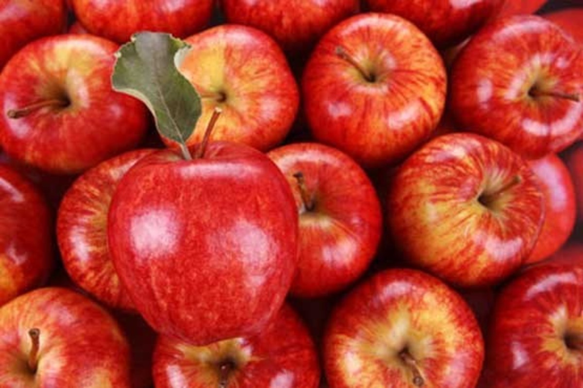انهدام شبکه صادرات صوری سیب در هرمزگان
