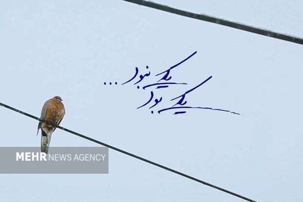 شهیدی که صدابردار خواننده قبل از انقلاب بود
