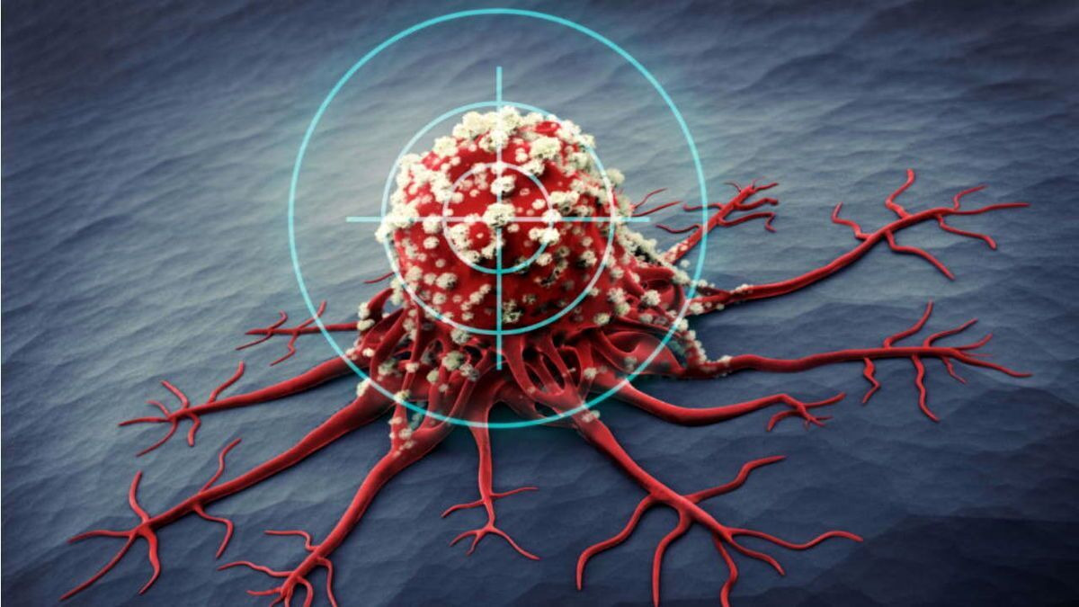 سلول‌های ایمنی بدن از مبارزه با سرطان خسته می‌شوند!