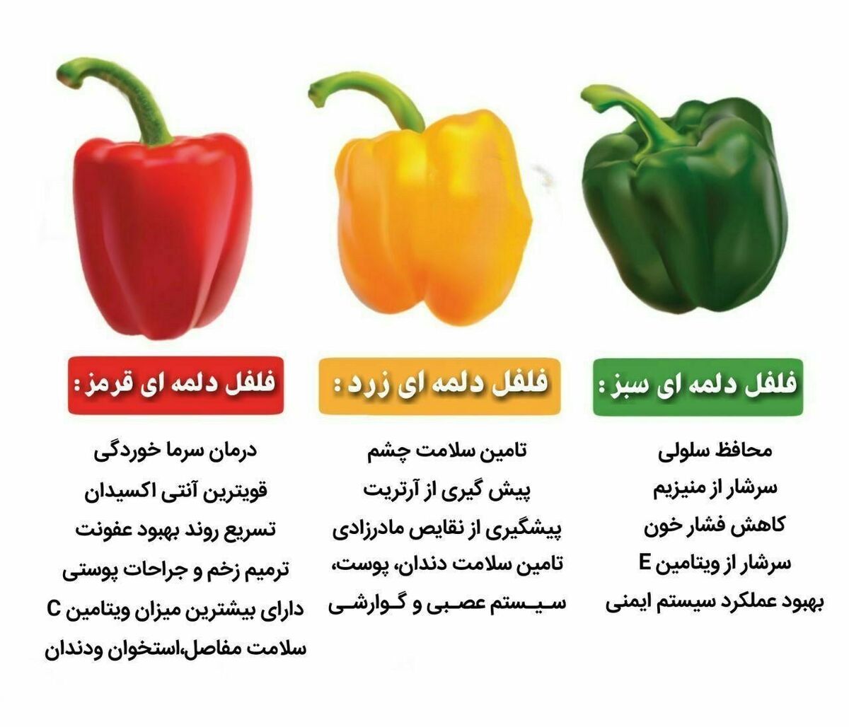 خواص رنگ‌های مختلف فلفل دلمه ای