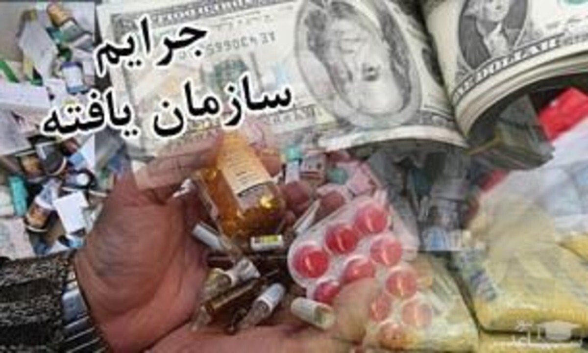 آقای رئیس! زیاد به پای گمرک و گمرکیان بپیچید قوه قضائیه را هم تعطیل می کنند