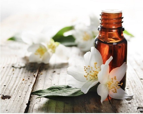 عطر و جنسیت: آیا عطرها جنسیت دارند؟