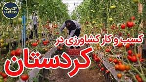 مرزهای غربی ایران، جوانان جویای کار و مهاجرت به کردستان عراق؛ اقتصاد و امنیت به هم گره خورده است