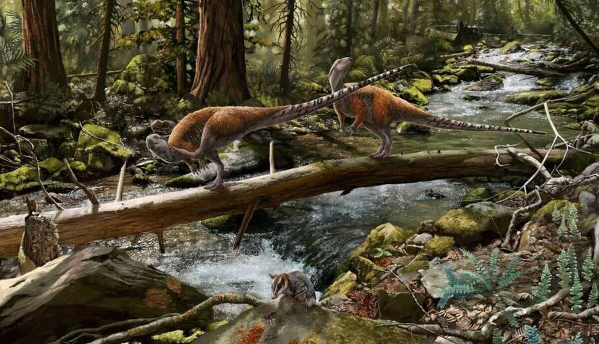 دانشمندان در انگلیس گونه جدیدی از دایناسورها با اندازه‌ای شبیه مرغ‌ها را کشف کردند