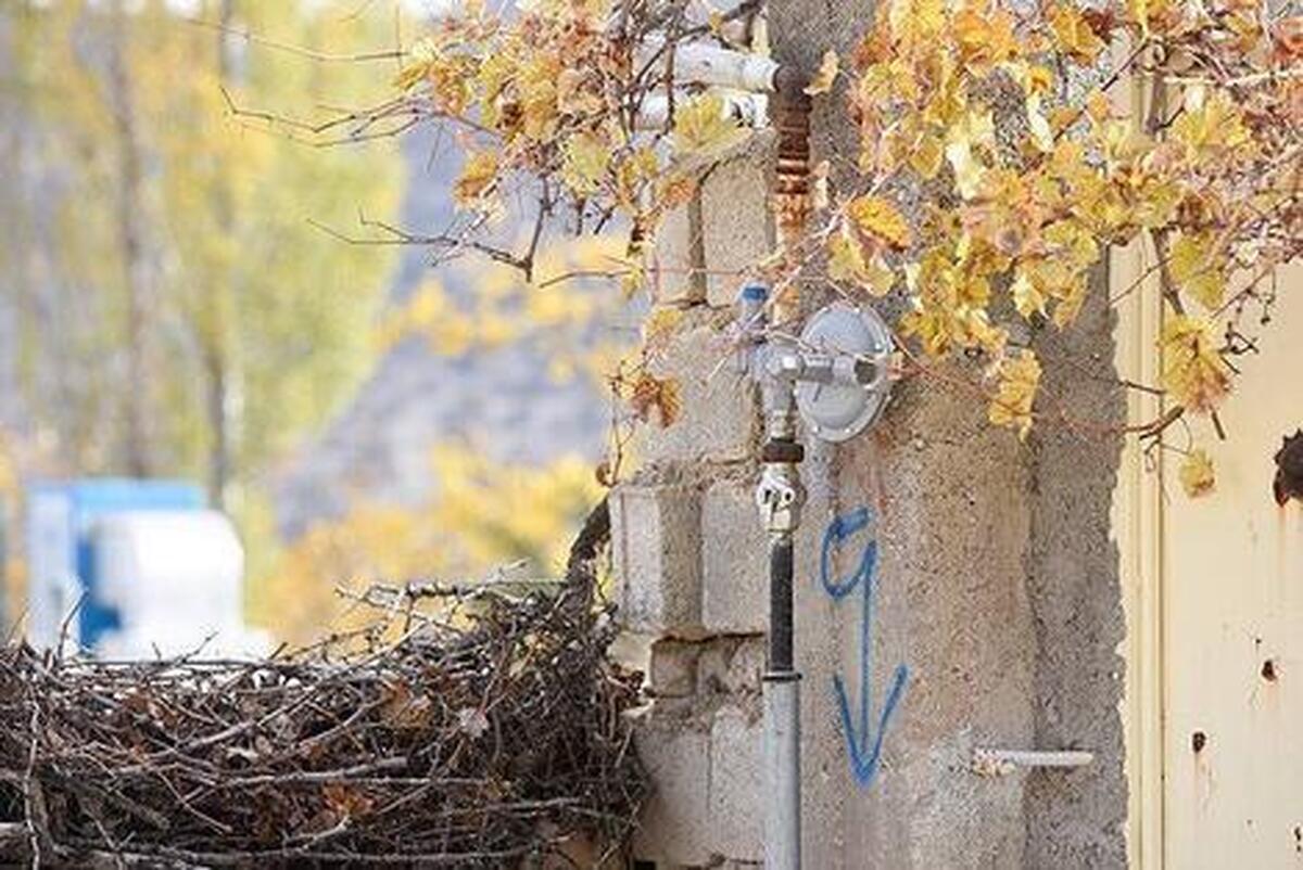گاز رایگان و پاداش صرفه‌جویی برای مشترکان خوش‌مصرف