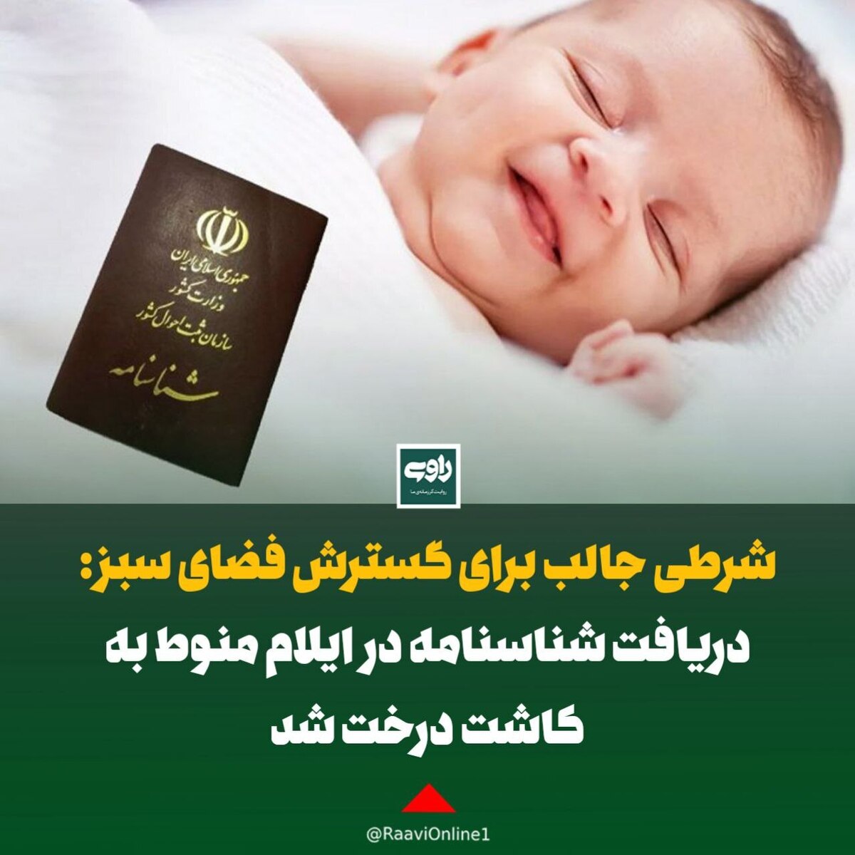 دریافت شناسنامه در ایلام منوط به کاشت درخت شد