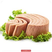 افزایش۳ باره قیمت تن ماهی