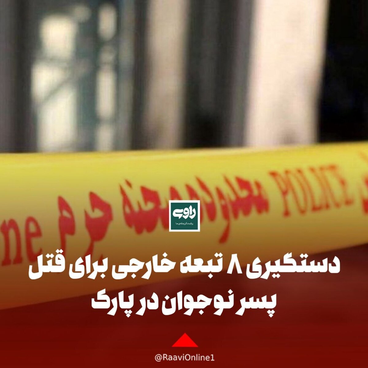 دستگیری ۸ تبعه خارجی برای قتل پسر نوجوان در پارک