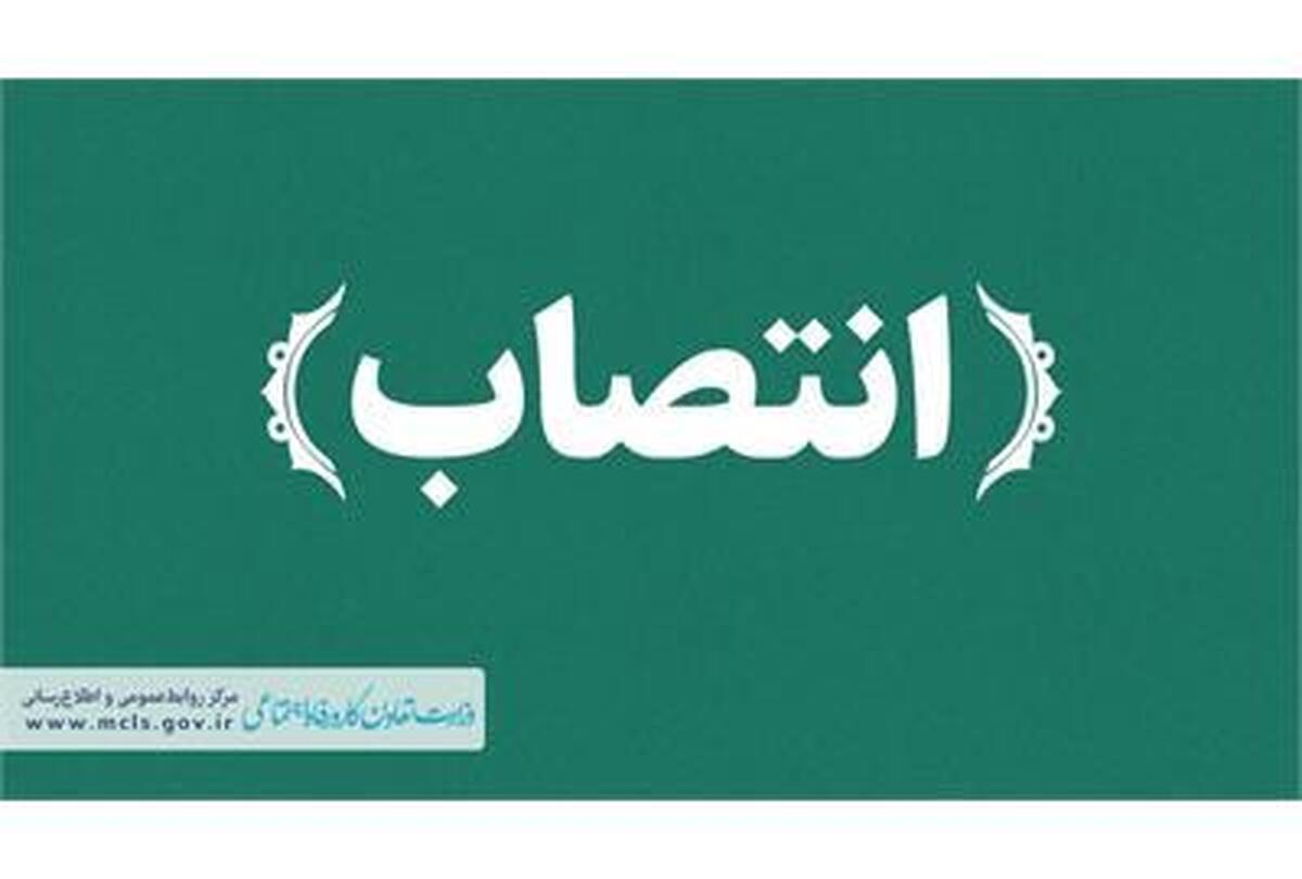 مدیرعامل صندوق بازنشستگی کشوری منصوب شد