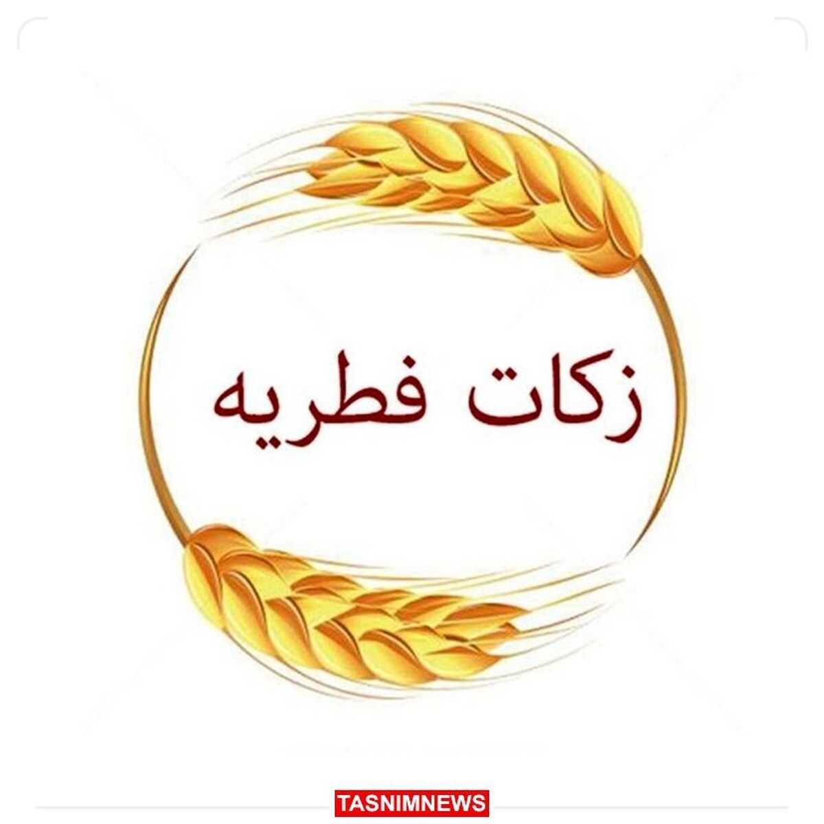 اعلام مبلغ زکات فطره از سوی آیت‌الله نوری همدانی