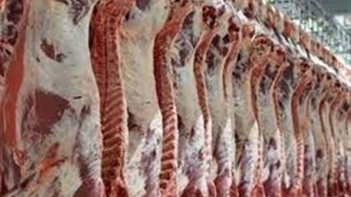 ارز واردات ۱۷۰ هزار تن گوشت قرمز اختصاص یافت