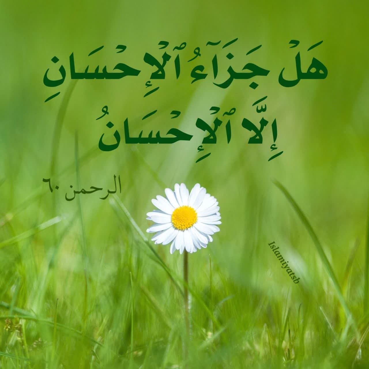 هَلْ جَزَاءُ الْإِحْسَانِ إِلَّا الْإِحْسَانُ