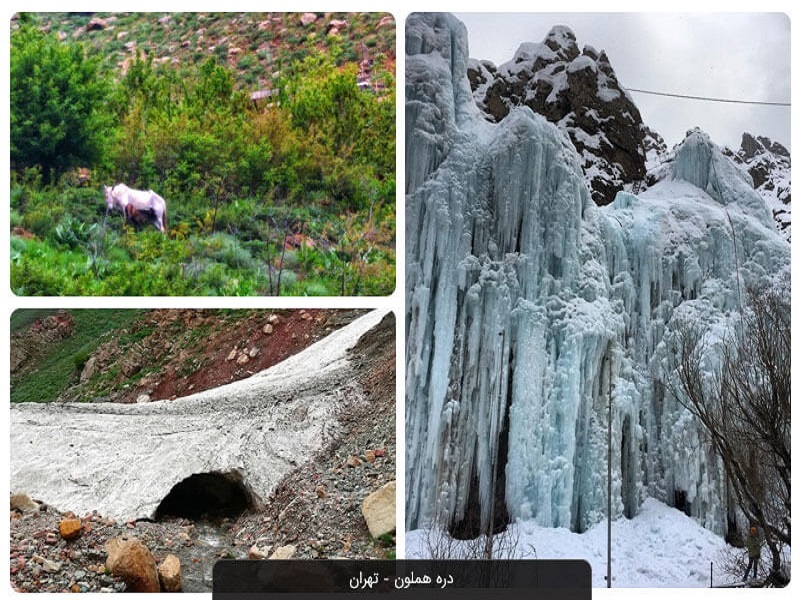 آبشار یخی هملون جاذبه زمستانی تهران آبشار یخی هملون جاذبه زمستانی تهران