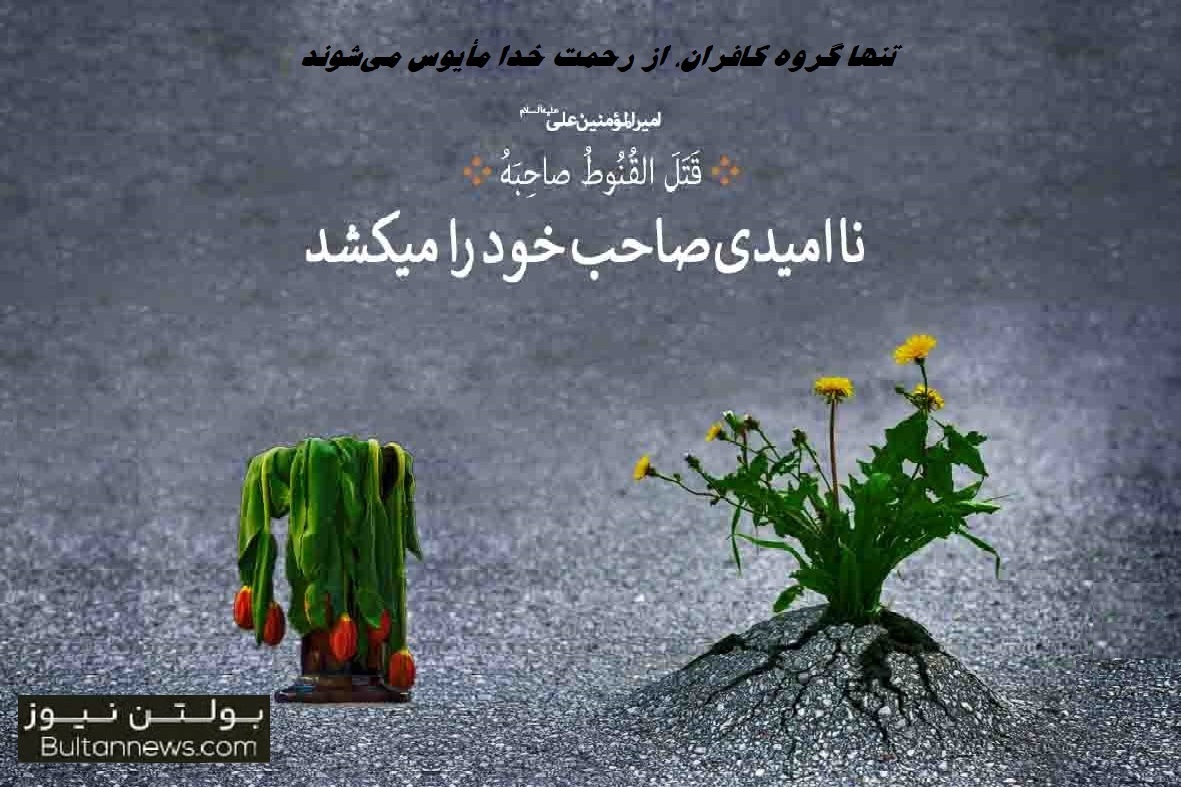  تنها گروه کافران، از رحمت خدا مأیوس می‌شوند