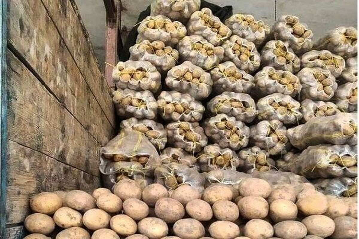 صادرات سیب زمینی مشمول عوارض ۶۰ درصدی خواهد شد