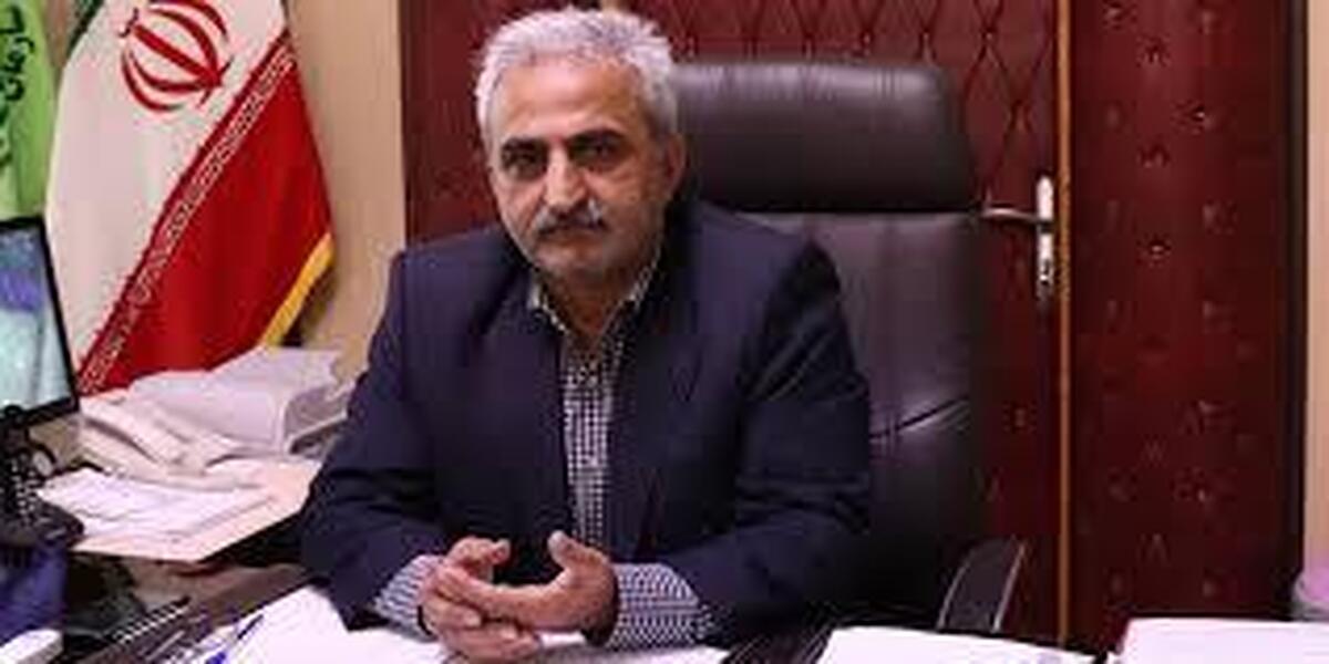 رئیس سازمان چای کشور: دولت مانع ورود چای سنواتی به بازار شود