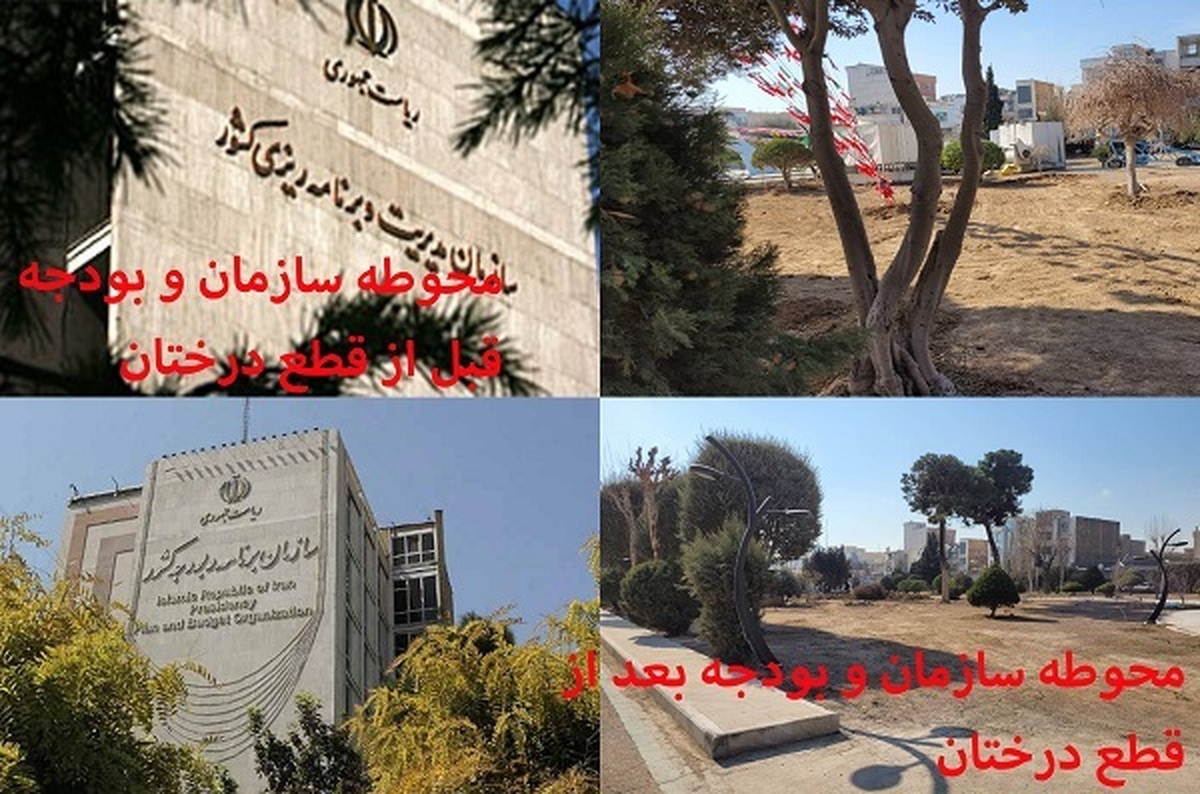 از قطع درختان ۷۰ ساله تا خالی کردن بدنه کارشناسی سازمان برنامه و بودجه / منظور نه برنامه را کامل کرد و نه بودجه را به پایان رساند