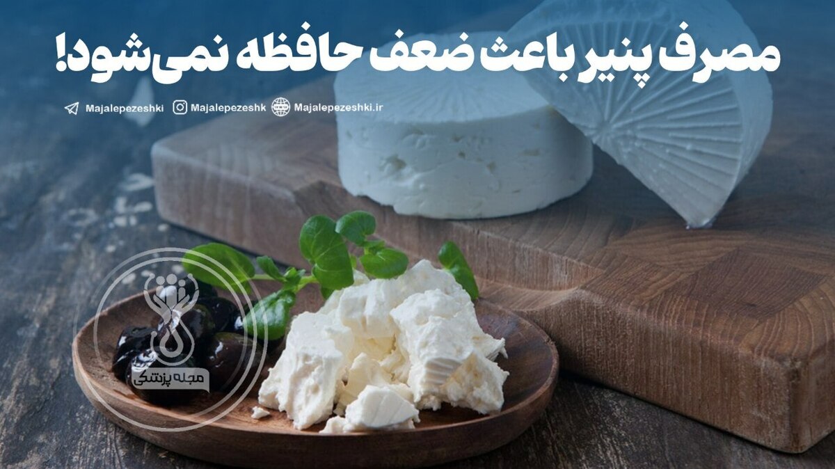مصرف پنیر باعث ضعف حافظه نمی‌شود!