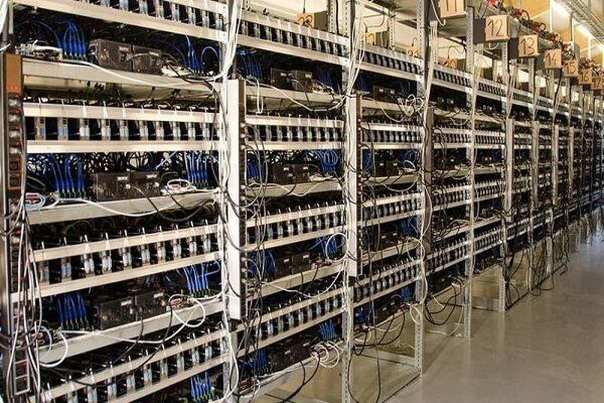 افزایش چشمگیر پاداش معرفی مراکز غیرمجاز رمز ارز