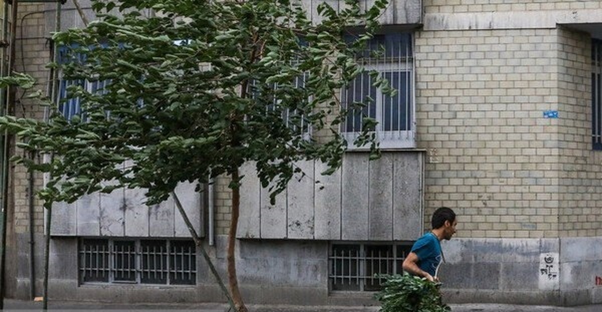 وزش باد با سرعت ۷۶ کیلومتر در پایتخت