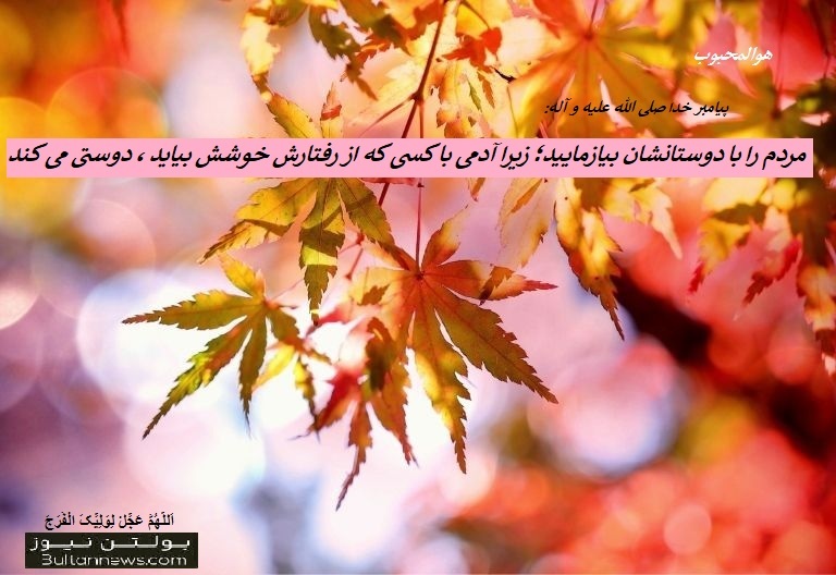 کاندیداها را با دوستانشان بيازماييد