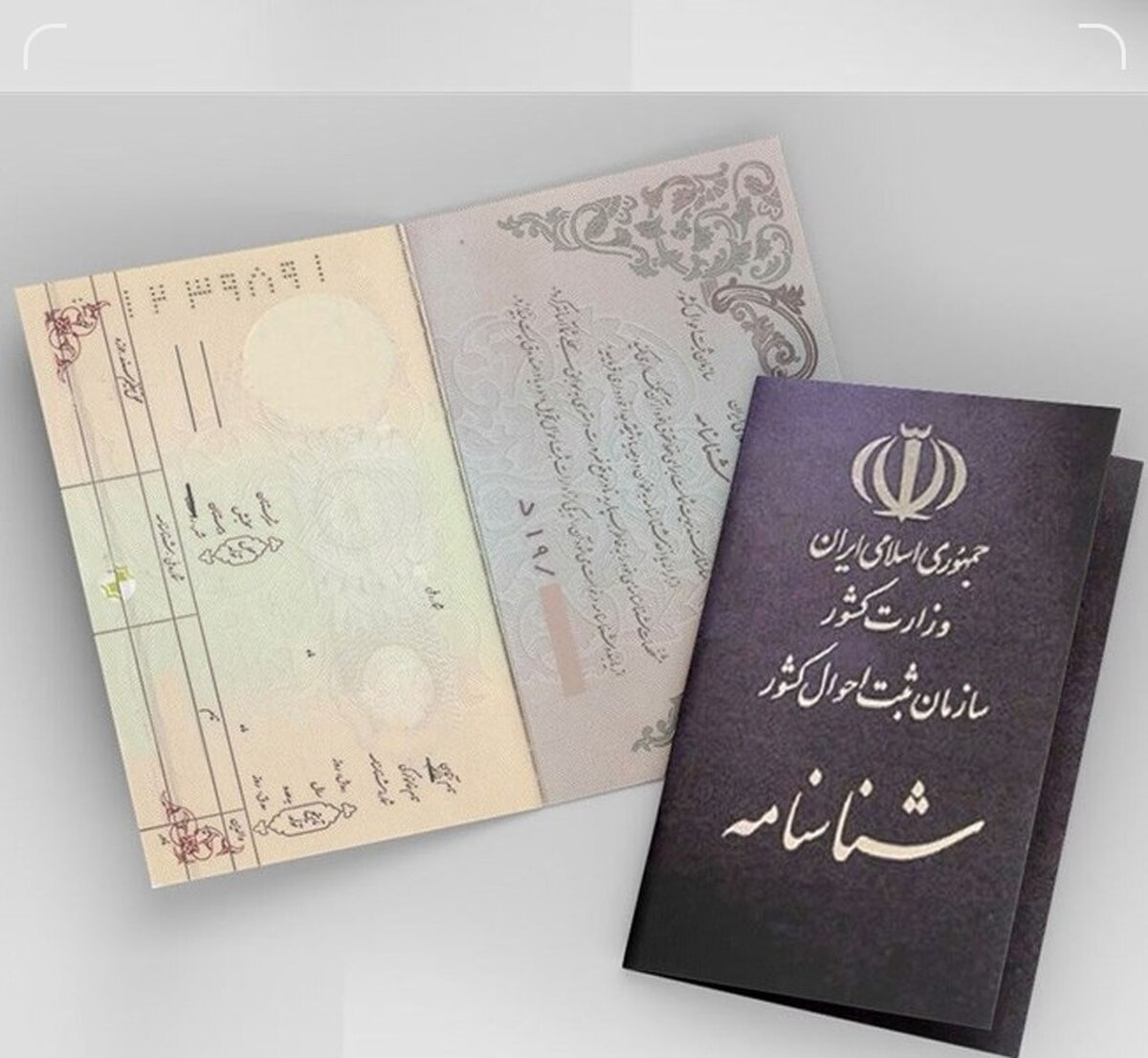صدور شناسنامه المثنی پیش از برگزاری انتخابات