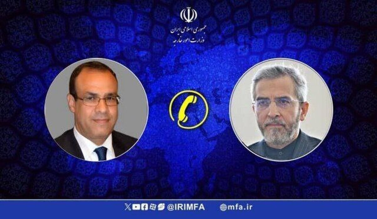 رایزنی باقری با وزیر خارجه مصر درباره شهادت هنیه