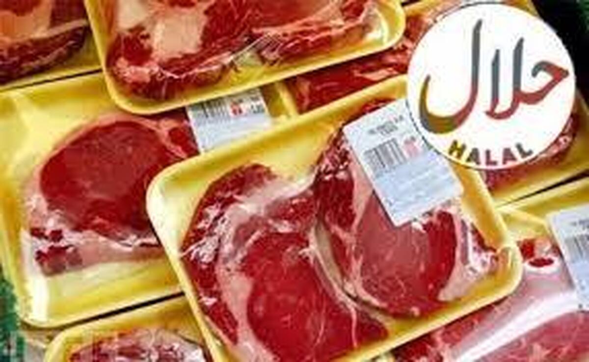 تولید گوشت حلال غیرحیوانی در کشور