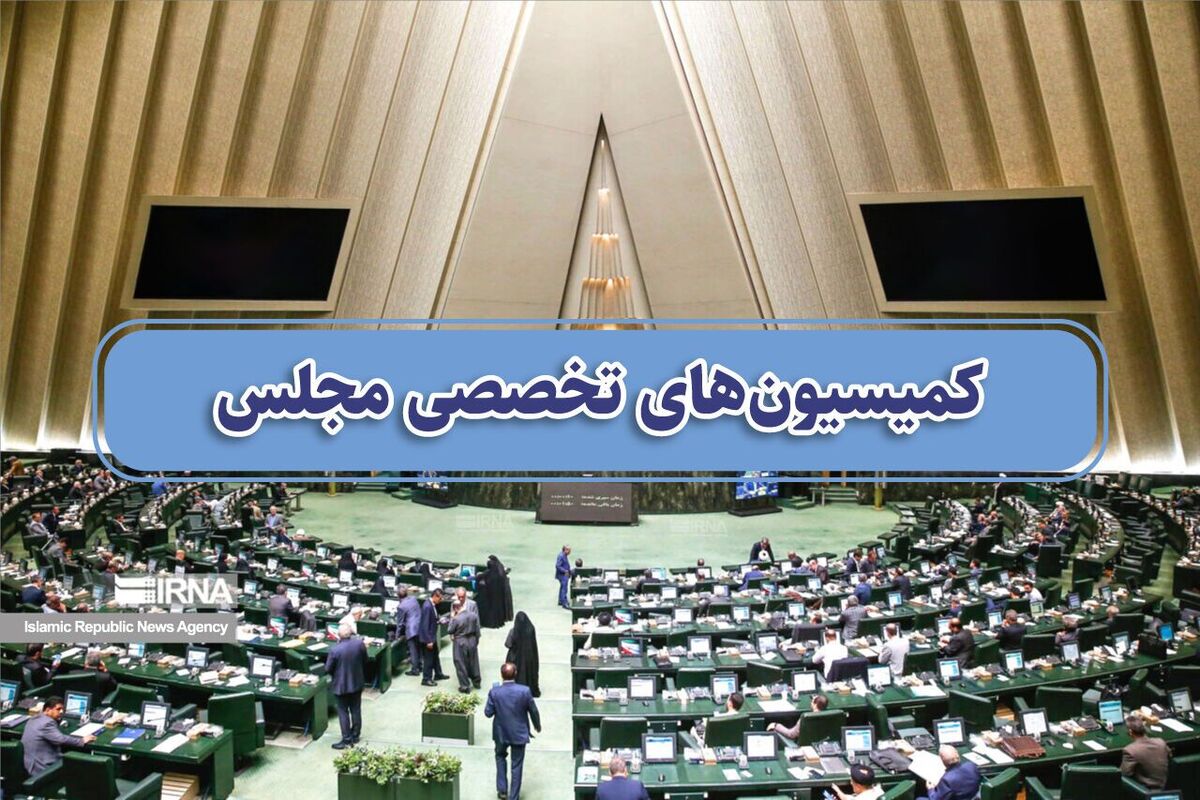 این هفته هفت وزیر در کمیسیون‌های تخصصی مجلس