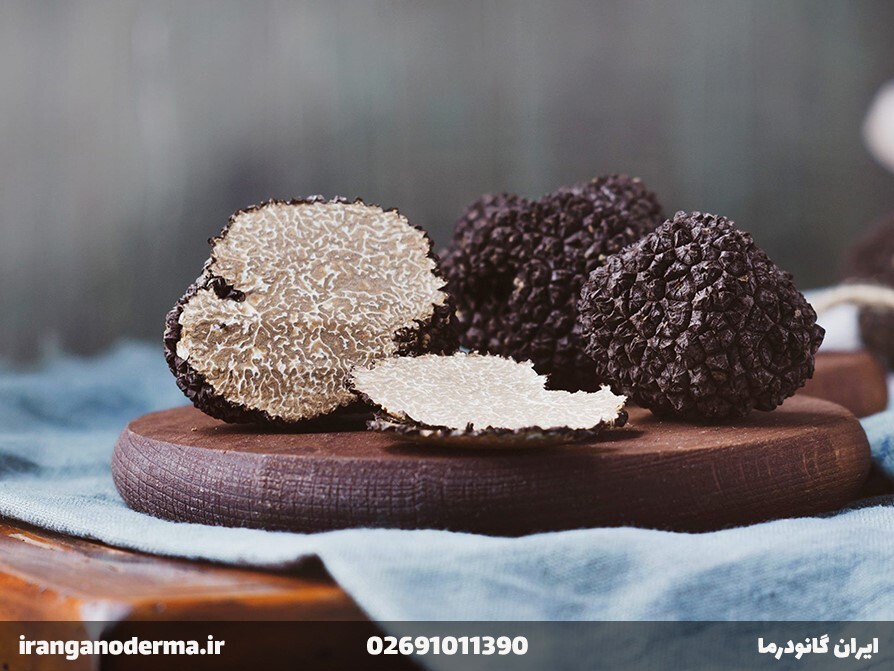 آشنایی با قارچ های دارویی برای درمان بیماری ها