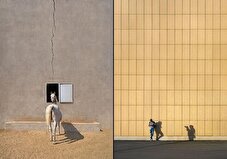 عکاس ایرانی بین ۱۰ عکاس برتر جهان