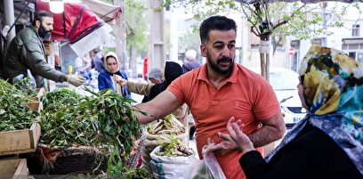 رونق بازار فروش گیاهان بهاری در سنندج