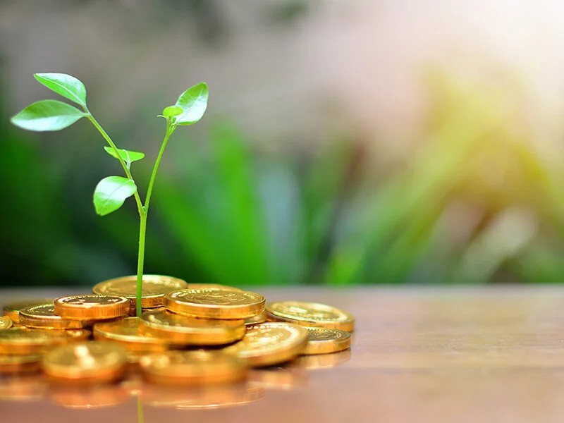 مقایسه انواع طلا برای سرمایه‌گذاری