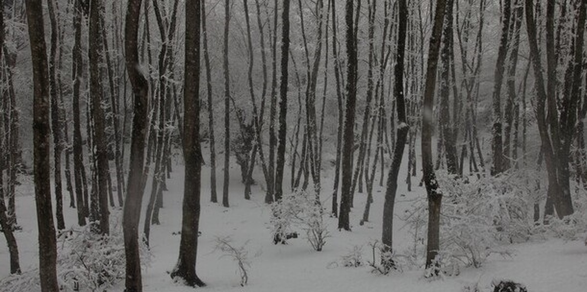 افزایش ۱۱ درصدی آمار بارش در کنار تداوم خشکسالی