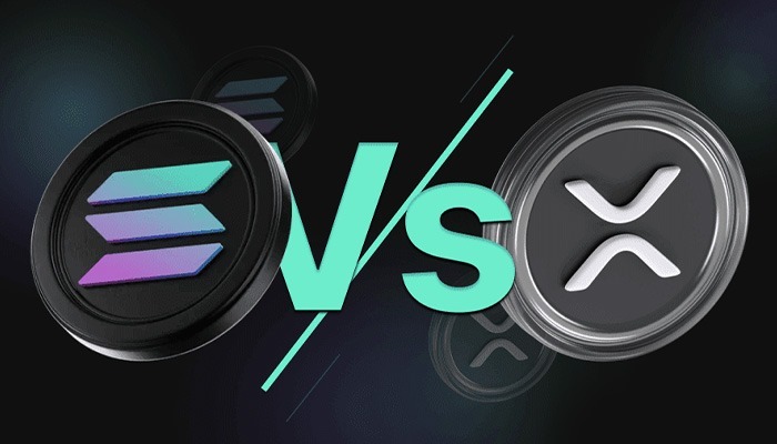 ریپل بخریم یا سولانا؟ راهنمای تصمیم‌گیری بر اساس میزان ریسک‌پذیری