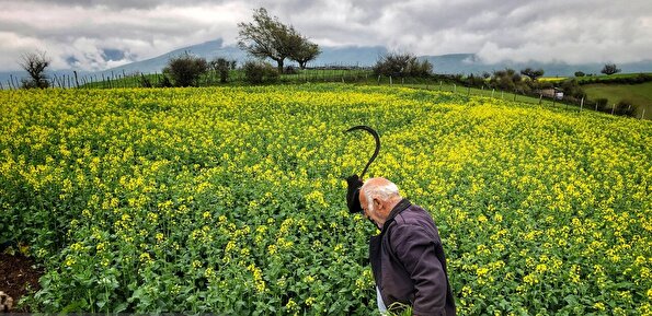 لحظه‌های گم شده