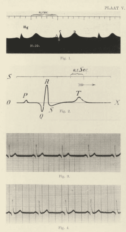 مبدع نوار قلب