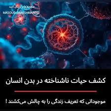 کشفی شگفت‌انگیز در بدن انسان؛ ساختارهای ژنتیکی ناشناخته مرزهای «زندگی» را به چالش کشیدند