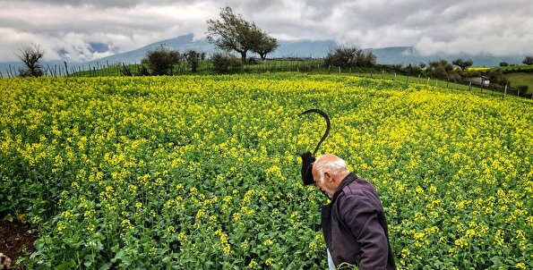 لحظه‌های گم شده