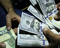 دولت حذف ارز ترجیحی را تایید کرد